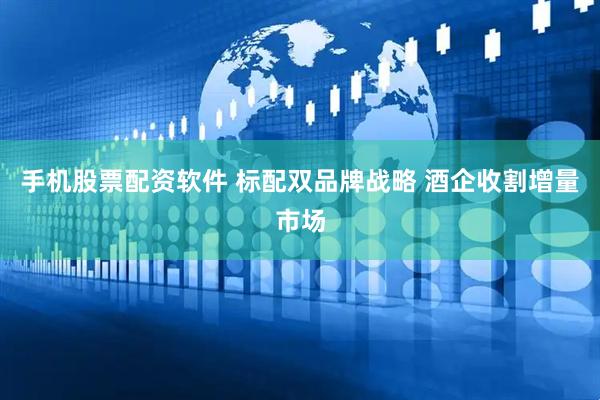 手机股票配资软件 标配双品牌战略 酒企收割增量市场