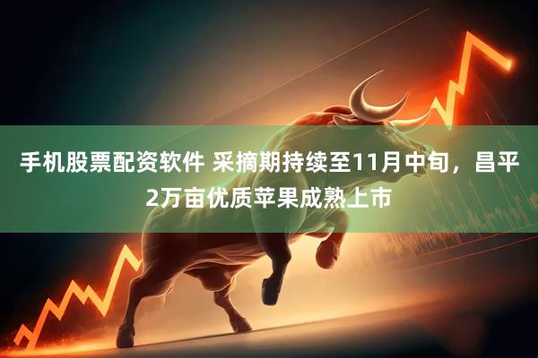 手机股票配资软件 采摘期持续至11月中旬，昌平2万亩优质苹果成熟上市